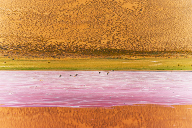 巴丹吉林沙漠粉湖图片