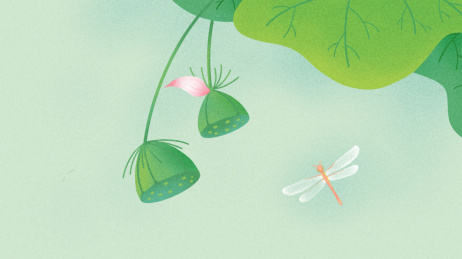 莲叶,莲蓬和红蜻蜓,夏季通用唯美插画