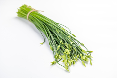 香亭韭菜亭白底图 韭菜亭