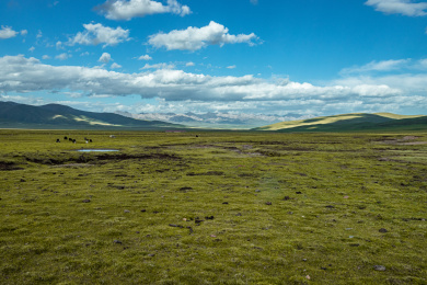 中国西北大草原与远山