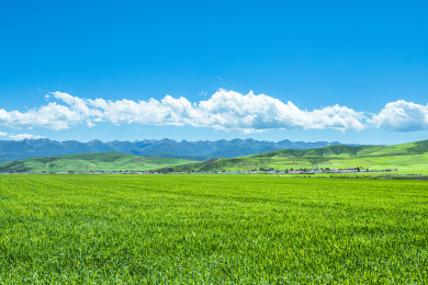中国青海省高原上的田园风光