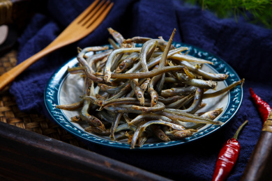 海银鱼 海银鱼 鱼