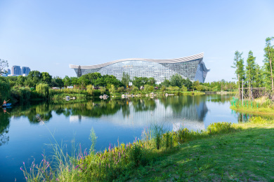 成都锦城公园湖塘景色