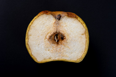 腐烂梨子截面