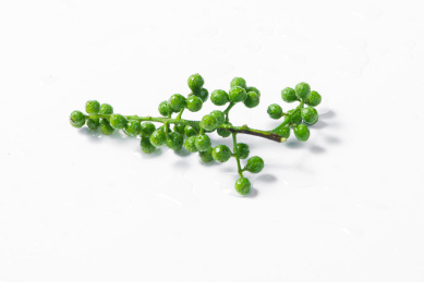 白色背景中的新鲜青花椒