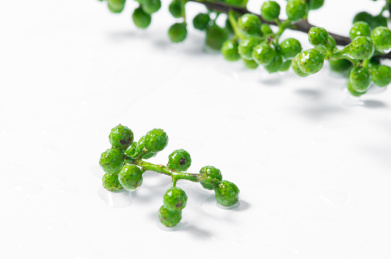 白色背景中的新鲜青花椒