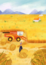 秋分节气农民们收割麦子