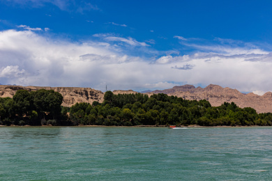 青海贵德黄河清国家湿地公园风光