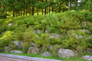 韩国城市公园自然风格的石砌护坡