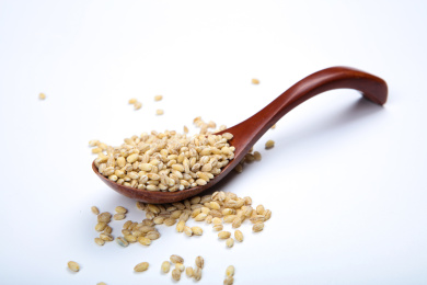 粗粮食材麦仁米 全麦