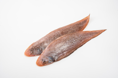 新鲜的舌头鱼 活海鲜