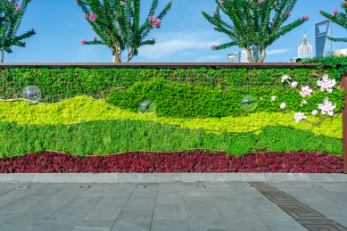 绿色植物鲜花墙 植物