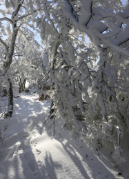 中国河南禹州大鸿寨雾凇树挂景观