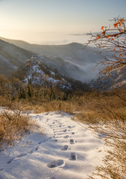 中国河南省禹州市大鸿寨初冬红叶云海冰雪