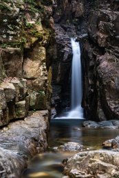 广东肇庆鼎湖山旅游风景区