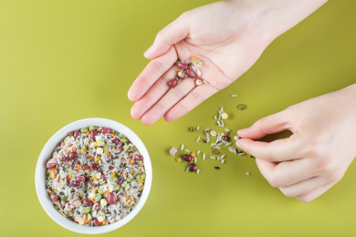 捡起掉落的米粒，节约粮食杜绝浪费创意图片