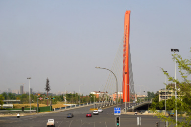 成都斜拉公路桥 世纪城路跨府河大桥