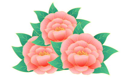 三朵盛开的牡丹花矢量插画