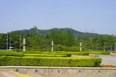 青岛城市草坪广场 汇泉广场风景