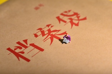 文件袋上面的小人，微缩摄影作品