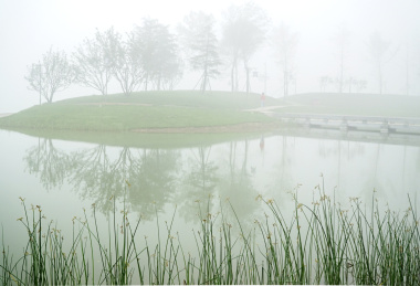 大雾中的中国河南禹州市森林植物园