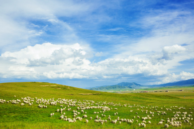 西藏宗巴拉山娅口