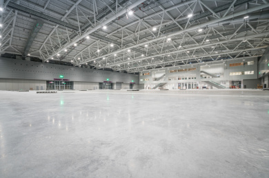 广东省深圳国际会展中心贸易展销会的道路