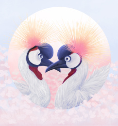 两只非洲冠鹤 七夕