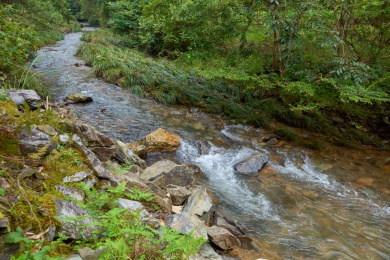 south of bnot yaakov bridge along the golan heights ridg山间小溪