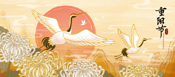 重阳节飞舞丹顶鹤与菊花横幅