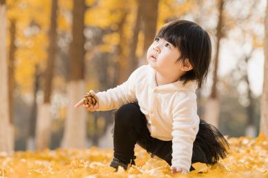 深秋坐在公园落满黄叶的草地上玩耍的女孩