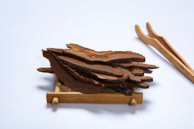 传统中医中药材灵芝