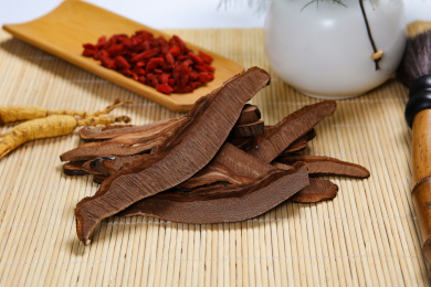 传统中医中药材灵芝