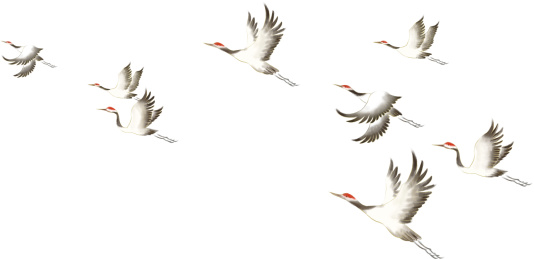 中国风飞鹤群图 heccjqtf