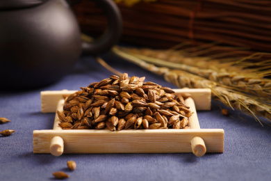 冲泡大麦茶