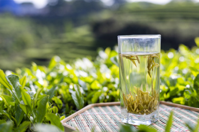 玻璃杯里冲泡的一杯绿茶黄金芽