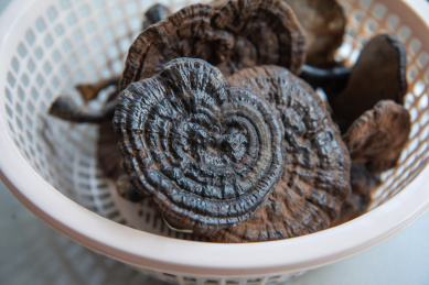 纯天然野生紫灵芝