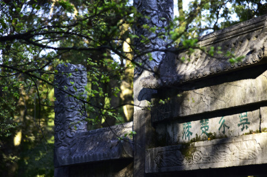 中国江苏省苏州市虎丘山风景区秋天的风光