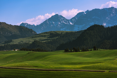 中国新疆江布拉克，美丽的天山下的草原