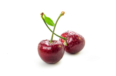 樱桃带叶子白底