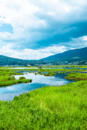云南腾冲北海湿地省级自然保护区风光