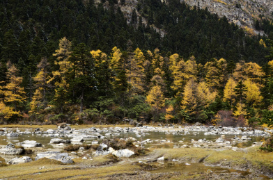 中国四川甘孜州康定莲花湖景区秋天的风光