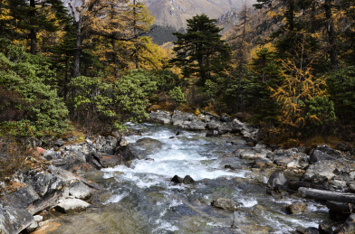 中国四川甘孜州康定莲花湖景区秋天的风光