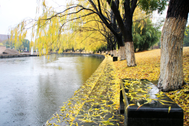 浙江大学校园建筑风景