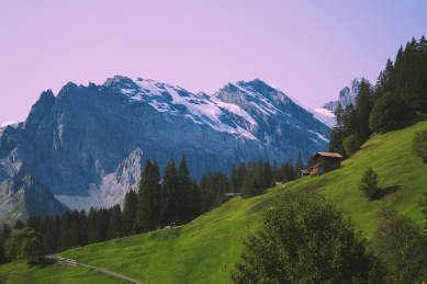瑞士阿尔卑斯山脉美丽的森林与草地