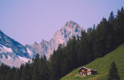 瑞士阿尔卑斯山脉脚下的森林与小镇