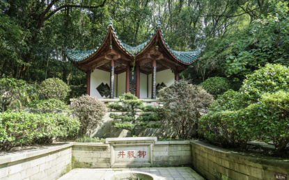 洞庭湖畔的湖南岳阳君山岛风光