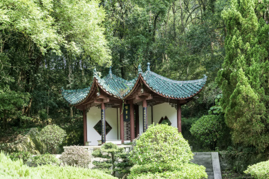 洞庭湖畔的湖南岳阳君山岛风光