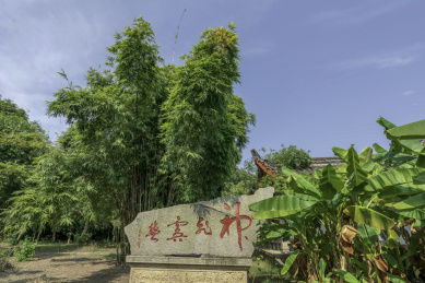 洞庭湖畔的湖南岳阳君山岛风光