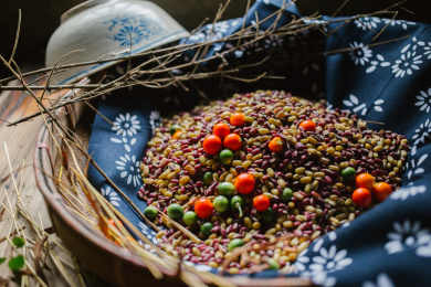 篮子里装着许多彩色的豆子